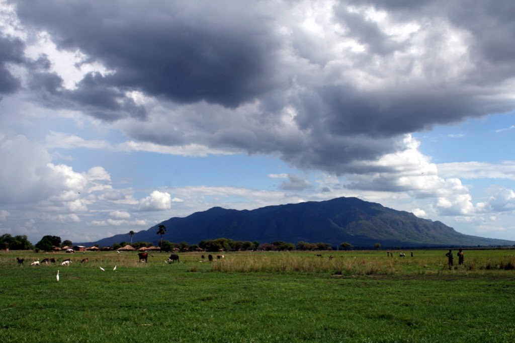 2009-12-zambezia252520677