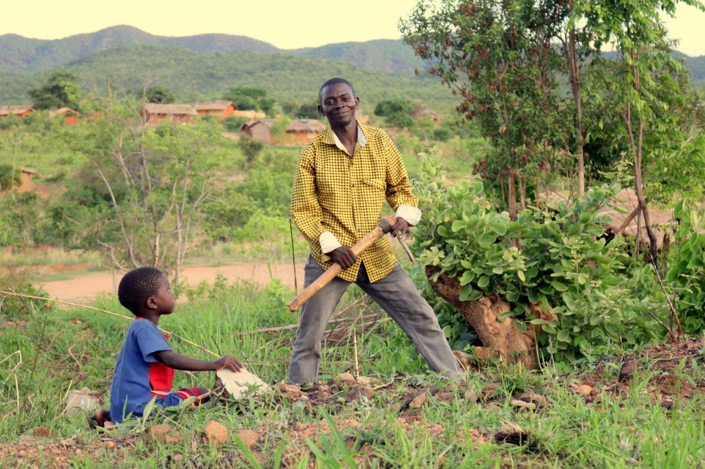 2016-01-cobue252520252528401252529