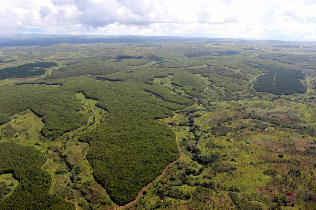 2016-02-plane25252025252834252529