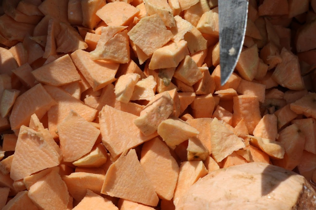 2016-04-sanga2b25282792529