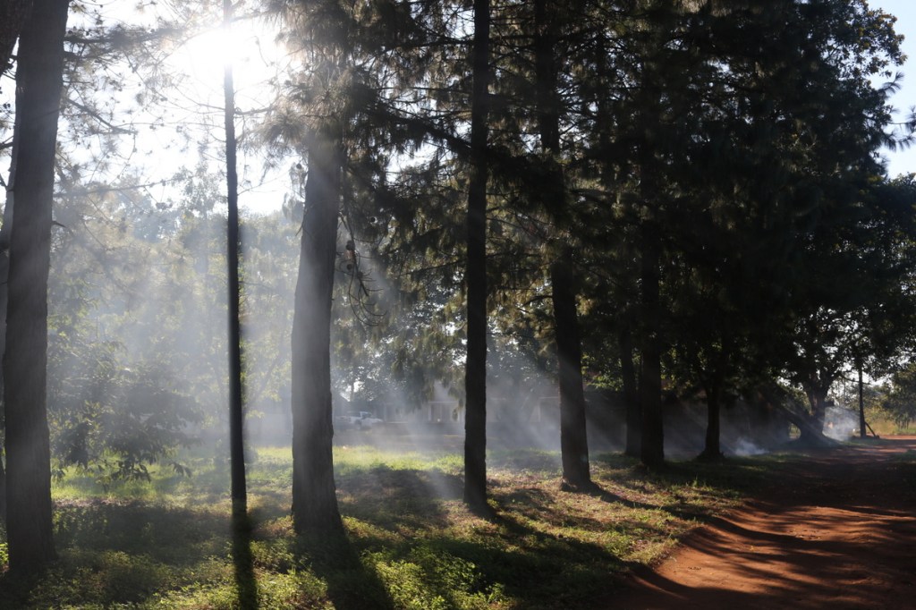 2016-04x-Lichinga (14).JPG