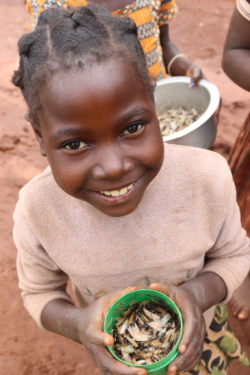 2017-02-lichinga-318